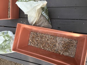 Pea gravel in the bottom of the pot to help with drainage.  